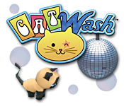 Cat Wash 2
