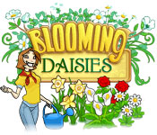 Blooming Daisies 2