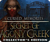 Cursed Memories: The Secret of Agony Creek Collector's Edition 2