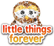 Little Things Forever 2